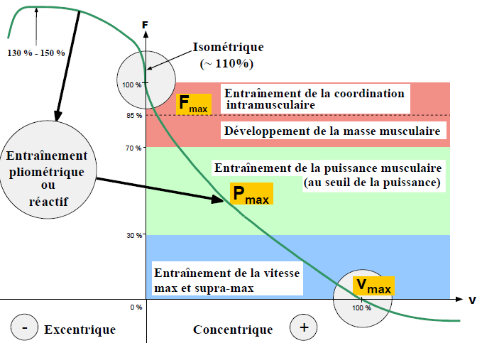 zone de force