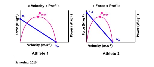 différent type de profil